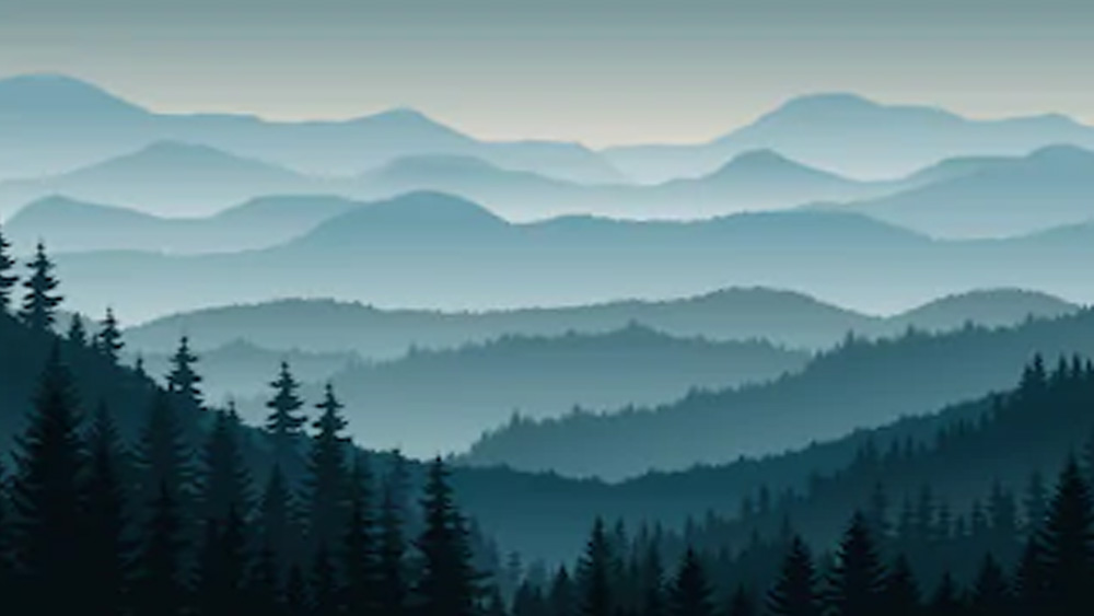 তবে তাঁর আশা, অভিযানের নেশা মানুষের মনে রয়েই যাবে। সেই নেশাই মুক্তি দেবে শহুরে যান্ত্রিকতা থেকে। তাঁর দেওয়া সঙ্কেতের পিছনে ছুটে যাওয়া প্রত্যেক অভিযাত্রীকে আন্তরিক ধন্যবাদ জানিয়েছেন চিরসবুজ এই অশীতিপর। (ছবি: শাটারস্টক)