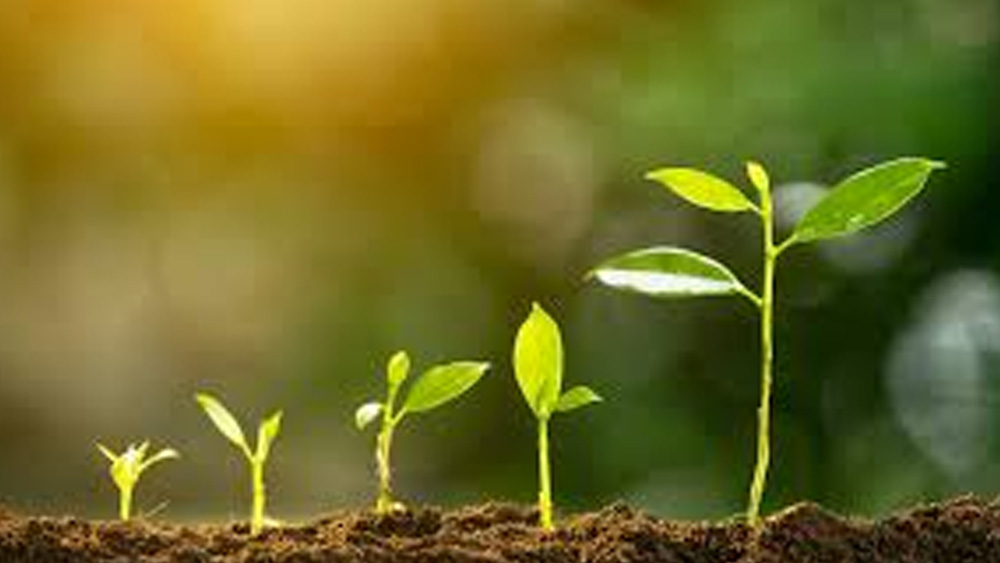 ফোটোসিন্থেসিসের বিপরীত প্রক্রিয়া হল কেমোসিন্থেসিস। ফোটোসিন্থেসিসে কার্বন ডাই অক্সাইড গ্রহণ করে পরিবেশে মুক্ত হয় অক্সিজেন।