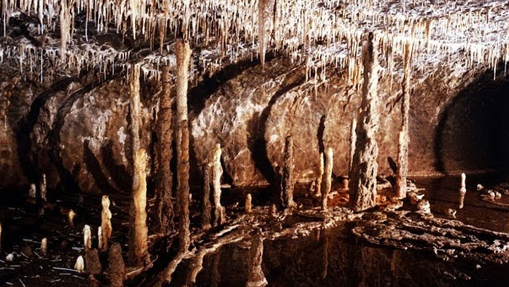 কিন্তু কার্বন ডাই অক্সাইডের ক্ষেত্রে এই অনুপাত ঠিক উল্টো। পৃথিবীর বায়ুমণ্ডলে এই গ্যাসের পরিমাণ যেখানে ০.০৪ শতাংশ, সেখানে মোভাইল গুহায় কার্বন ডাই অক্সাইড আছে ২ থেকে ৩.৫ শতাংশ।