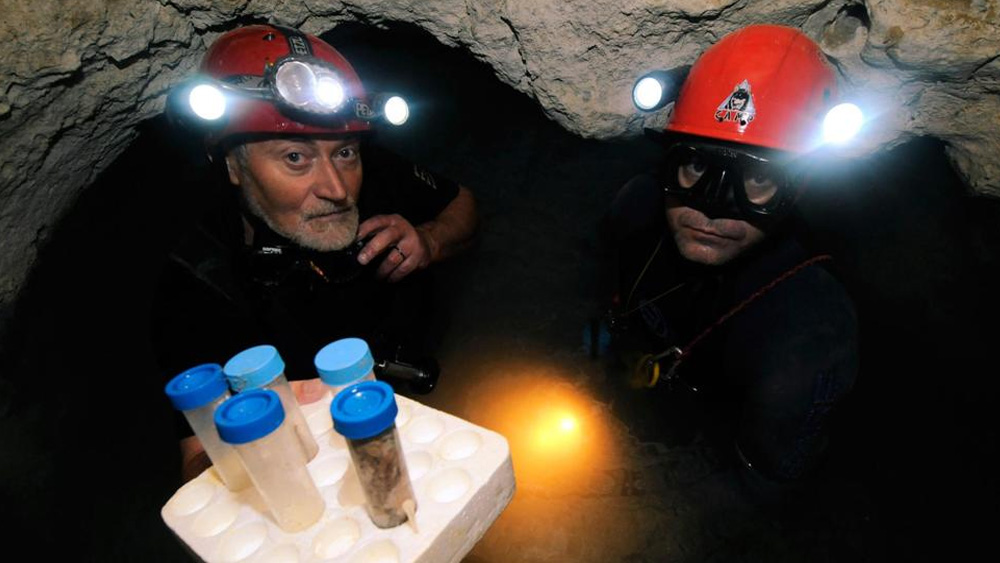 এই গুহায় মিথেনের পরিমাণ ১ থেকে ২ শতাংশ। পাশাপাশি মোভাইল গুহার বাতাস এবং জলে প্রচুর পরিমাণে হাইজ্রোজেন সালফাইড ও অ্যামোনিয়া আছে।