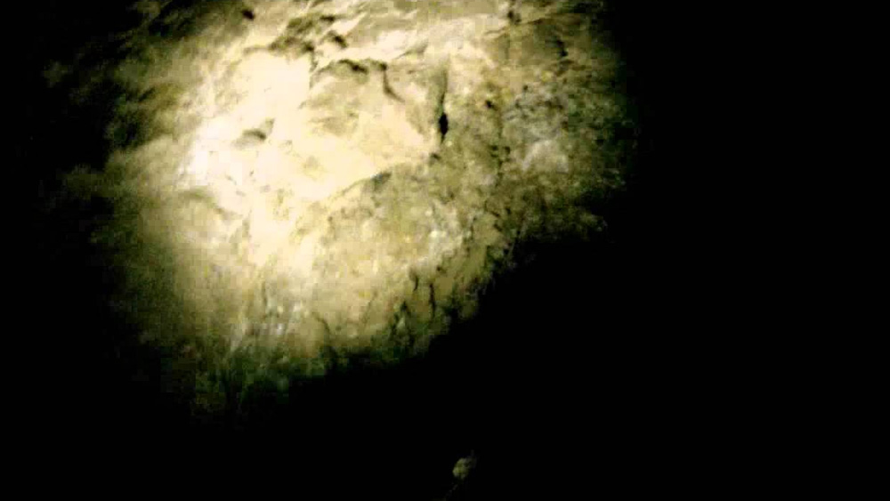 এই গুহায় খাদ্যশৃঙ্খলও নির্ভর করছে কেমোসিন্থেসিসের উপর। মিথেন ও সালফারে (গন্ধক) জারিত হয় ব্যাকটেরিয়া। বিক্রিয়ার ফলে বাতাসে নিউট্রিয়েন্ট বা পরিপোষকের উপস্থিতি বাড়ে। তার দ্বারা ছত্রাক ও অন্যান্য ব্যাকটেরিয়া পুষ্ট হয়।