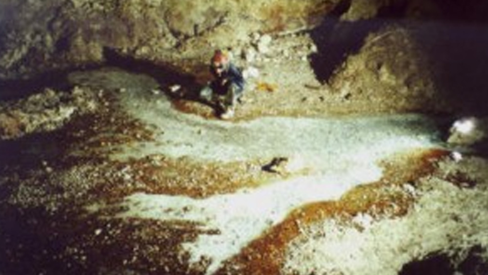 এই বিক্রিয়া-শৃঙ্খলের ফলে গুহার দেওয়ালে জন্ম নেয় মাইক্রোবিয়াল ম্যাটস। মাইক্রোবিয়াল ম্যাট হল একাধিক স্তরের মাইক্রোঅর্গানিজমের চাদর। পুরু শ্যাওলার মতো বিছিয়ে থাকা এই অং‌শ থেকে খাদ্যগ্রহণ করে তৃণভোজীরা। আবার তারা খাদ্য হয়ে ওঠে মাংসাশীদের কাছে। এ ভাবেই কেমোসিন্থেসিসের উপর নির্ভর করে এগোতে থাকে খাদ্য-খাদক শৃঙ্খল।