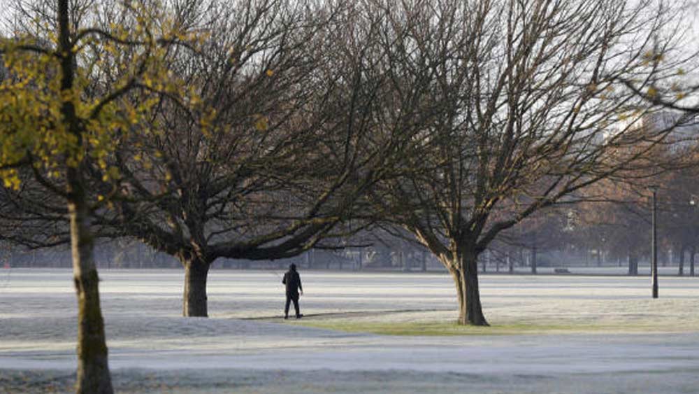 আইরিশ শব্দ থেকে ‘নিমাহ’ থেকে তৈরি নেভ কথার অর্থ উজ্জ্বল। ‘তে আরোহা’ নামে নিউজিল্যান্ডে একটি পাহাড় আছে। স্থানীয় মাওরি উপজাতির ভাষায় ‘আরোহা’ শব্দের অর্থ ভালবাসা। একরত্তি নেভকে বড় করার পাশাপাশি তাঁর মা আগলে রেখেছেন গোটা দেশের মানুষকে।
