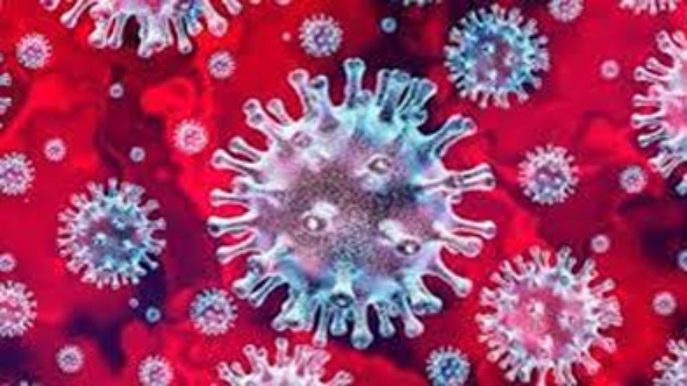 Infections are increasing in both the districts of Howrah and Hooghly