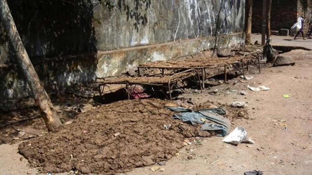 চাষের জন্য প্রয়োজনীয় গোবর তাঁরা আনতেন দিল্লির বসন্ত কুঞ্জ এলাকা থেকে। সেখান থেকে গোবর আনাতে খরচও বেশ হচ্ছিল।