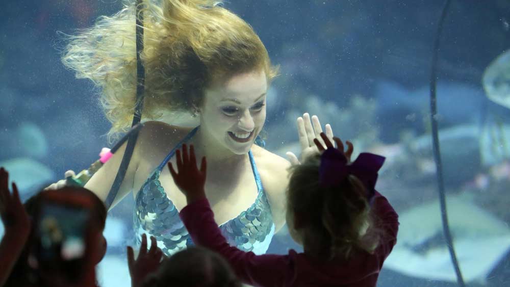 ওয়াটার পার্কে ছিল বিশালাকার অ্যাকোয়ারিয়াম। সেখানেই হত মৎস্যকন্যাদের অনুষ্ঠান। রোজ টিকিট কেটে সেই অনুষ্ঠান দেখতেন পর্যটকরা।