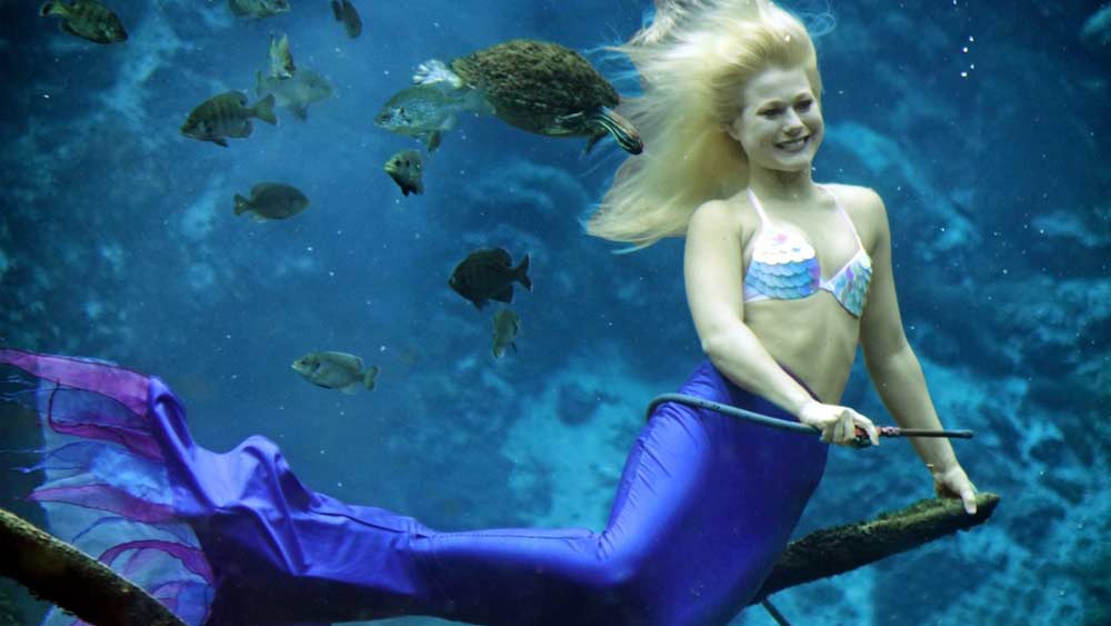 মৎস্যকন্যা এক কল্পিত প্রাণী। যার দেহের উপরিভাগ নারীর মতো ও দেহের নীচের অংশ মাছের মতো।