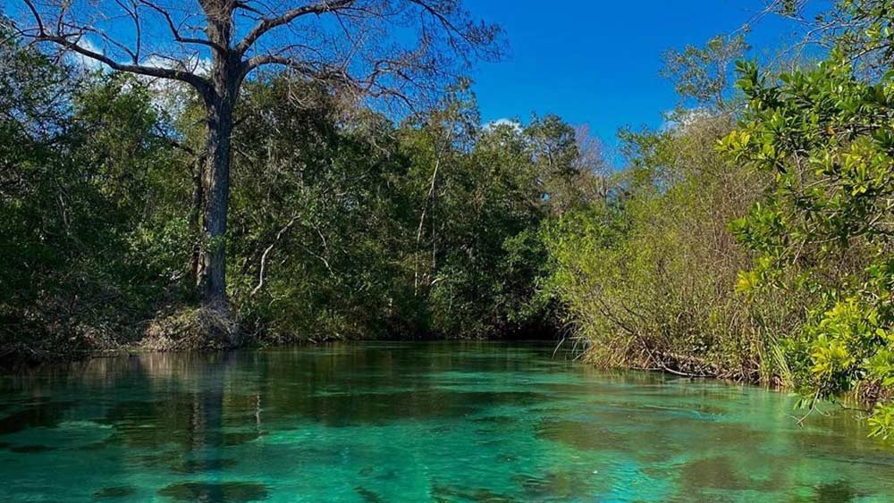 যদিও মৎস্যকন্যাদের জন্য যে শহরের নাম ছড়িয়ে পড়েছিল আমেরিকার বিভিন্ন প্রান্তে, সেই শহরের আজ আর কোনও অস্তিত্ব নেই।