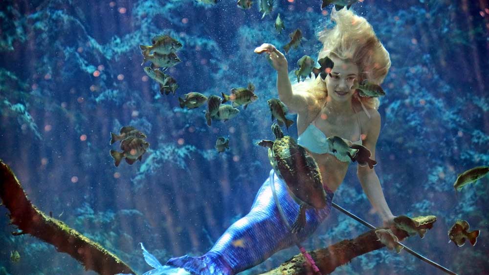 এ বছরের শুরুতে একটি বিল পাশ করেছেন সেখানকার গভর্নর, যার মাধ্যমে অবলুপ্ত হয়েছে ইউকি ওয়াচি মিউনিসিপ্যালিটি। বর্তমানে সেটিকে হর্নেন্ডো কাউন্টির অন্তর্গত করা হয়েছে।