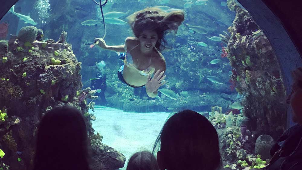 তার পাশাপাশি স্থানীয় প্রশাসনের দুর্নীতি এই শহরের অবলুপ্ত করার অন্যতম কারণ।