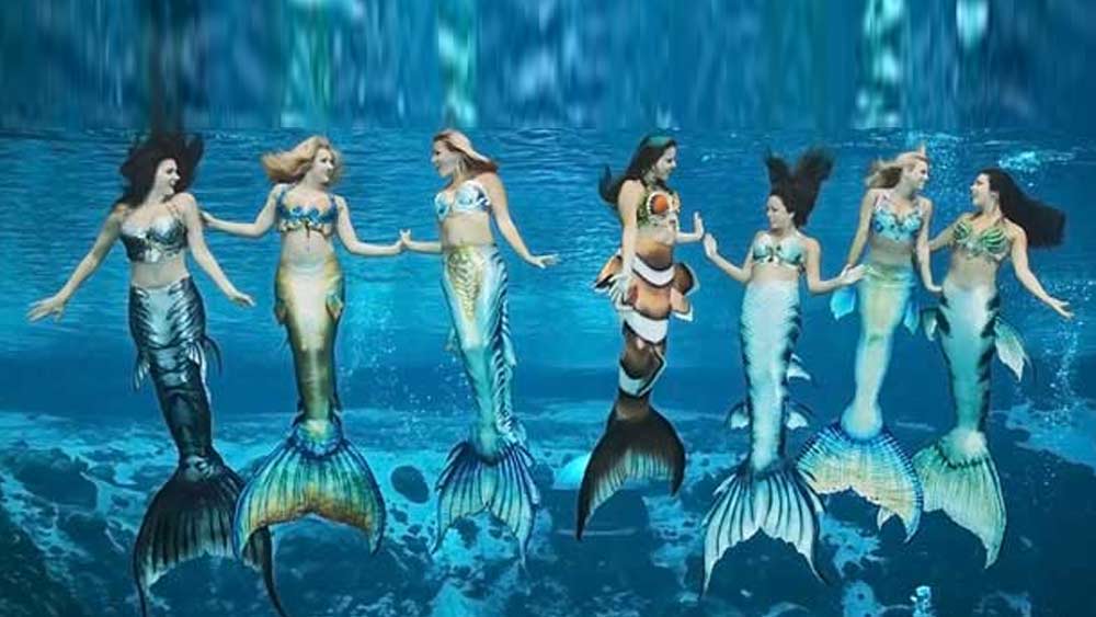 কিন্তু শহর অবলুপ্ত হলেও উইকি ওয়াচি পার্ক এখনও রয়েছে সেখানে। হয় মৎস্যকন্যাদের অনুষ্ঠানও। কিন্তু দর্শকদের আকর্ষণ এখন অপেক্ষাকৃত কম।