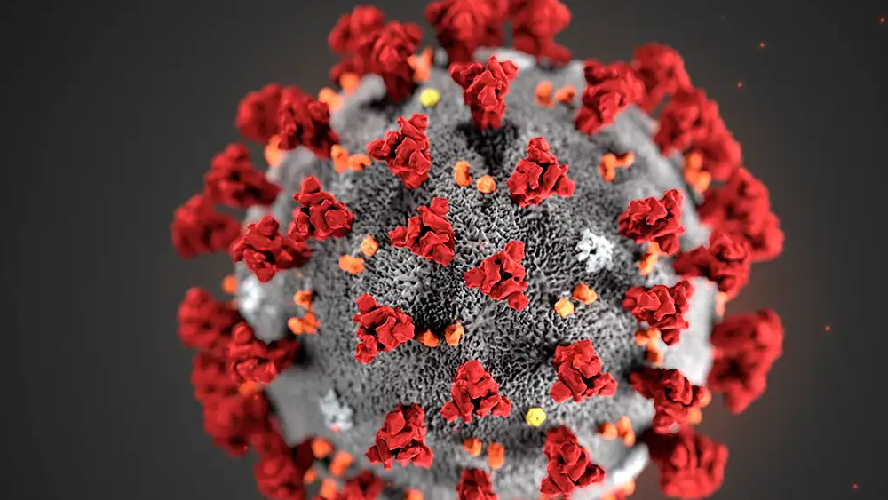 Boundary of two and a half hundred crossed in Coochbehar