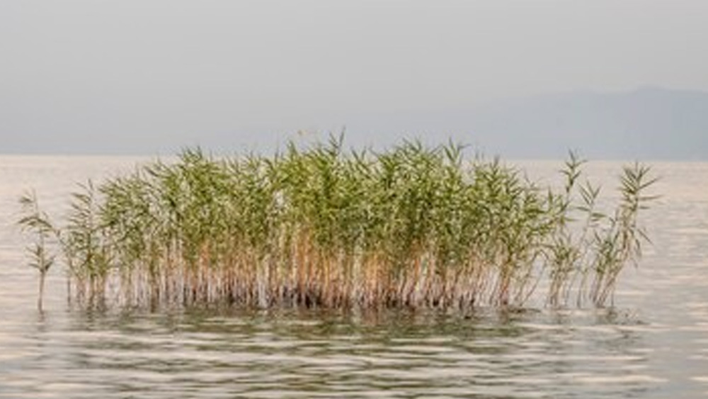পুরাবিদ ও ইতিহাসবিদদের ধারণা, ৭৪০ খ্রিস্টাব্দে ভূমিকম্পের ফলে স্থাপত্যটি ব্যাপক ক্ষতিগ্রস্ত হয়। তার পর ধীরে ধীরে তাকে গ্রাস করে ইজনিক হ্রদের জল।