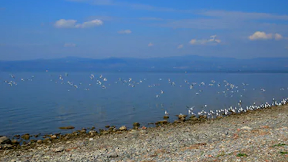 উত্তর পশ্চিম তুরস্কের বার্সা প্রদেশে ইজনিক হ্রদের স্ফটিক-জলের আড়াল থেকে অতীত কথা বলছে বর্তমানের সঙ্গে। ইজনিক হ্রদ জুড়ে আন্ডারওয়াটার আর্কিয়োলজিক্যাল সাইট গড়ে তোলার পরিকল্পনা নিয়েছে তুরস্ক।  (ছবি:শাটারস্টক)