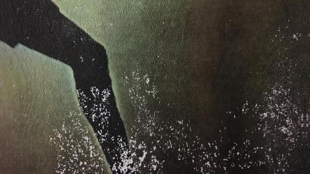 এ যেন ভিজুয়াল ও ল্যান্ডস্কেপের মধ্যে জীবনের সব ওঠানামাকে ধরতে চাওয়া। পঞ্চম শ্রেণিতে পড়ার সময় সংবাদপত্রে একটি ক্যামেরার ছবি দেখে জিনিসটার প্রতি প্রথম আগ্রহ জন্মায় ফোটোগ্রাফার স্বস্তিক পালের। পরে কলেজে যাওয়ার পর ছবির প্রতি ছেলের আগ্রহ দেখে মা বেশ কষ্ট করেই একটি দামি ক্যামেরা কিনে দেন তাঁকে।