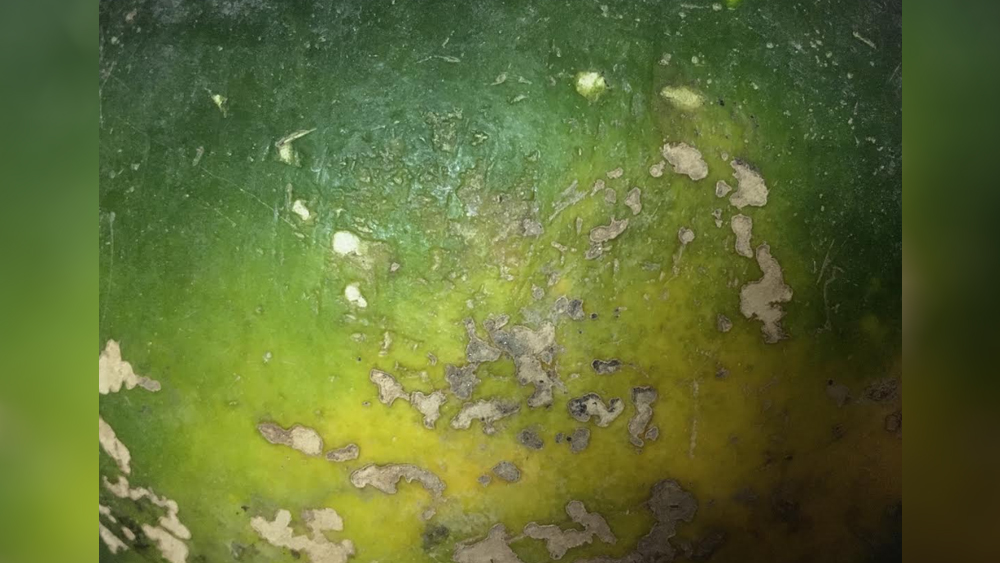 এর আগে সুন্দরবনকে কেন্দ্র করে করে স্বস্তিকের বিশেষ একটি প্রজেক্ট ‘দ্য হাংরি টাইড’ আন্তর্জাতিক স্তরে খ্যাতি পায়। মাত্র ২৮ বছর বয়সেই স্বস্তিকের এই কাজ মুগ্ধ করে সমালোচকদেরও। ‘ন্যাশনাল ফাউন্ডেশন অব ইন্ডিয়া’-র তরফে ন্যাশনাল মিডিয়া ফোটোগ্রাফি ফেলোশিপ পান এই কাজের জন্য। ফোটো ফাউন্ডেশনের সেরা এডুকেশন প্রোগ্রাম জুপ সোয়ার্ট ওয়ার্ল্ড প্রেস মাস্টারক্লাসের জন্য তিন বার নির্বাচিত হয়েছেন স্বস্তিক। আজও ছবির ভিতরের ছবিকে খুঁজতে চেয়েই ক্যামেরা ধরেন এই ফোটোগ্রাফার।