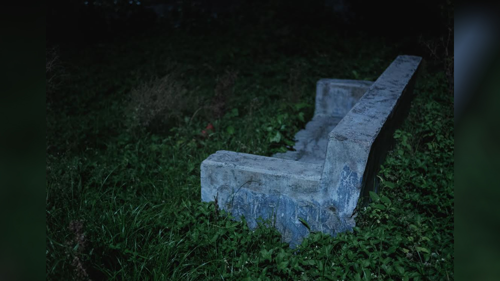 বেশ অল্প বয়স থেকেই ছবির জগতে নামডাক হতে শুরু করে নীলার্ঘের। দেশ-বিদেশের নানা ডকুমেন্টারি ছবির জন্য ২০১৮-তে ‘আলকাজি ফাউন্ডেশন ডকুমেন্টারি ফোটোগ্রাফি গ্রান্ট’-এর তালিকাভুক্ত হন।