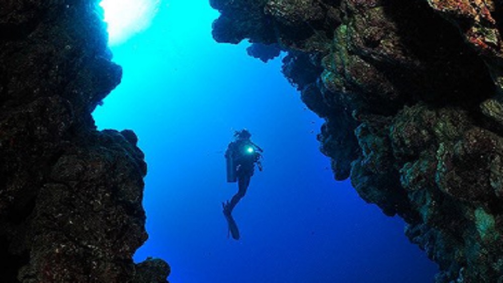 এর মধ্যে সমুদ্রগর্ভস্থ গহ্বরে ডুব সাঁতার দেওয়ার ইচ্ছে পূরণ হয়েছিল সুশান্তর। সেন্ট্রাল আমেরিকার বেলিজে তা করে দেখিয়েছিলেন তিনি। টুইটারে তার ছবিও পোস্ট করেন সুশান্ত।