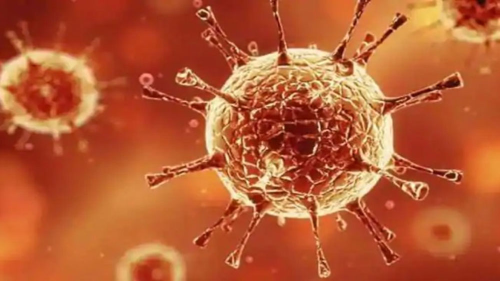 Neighbors gave a poster of 'Covid 19' at the young woman's house