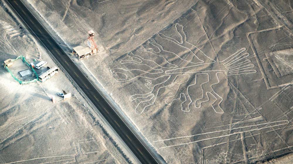 এই বিশাল এলাকা জুড়ে মাটির উপর খোদাই করা রয়েছে বিভিন্ন রকম ছবি ও নকশা। পশু-পাখির ছবি ছাড়াও রয়েছে সরলরেখা ও জ্যামিতিক নকশা। মাটির উপরের এই বিশালাকার সব ভূচিত্রগুলিকেই বলে নাজকা লাইন।