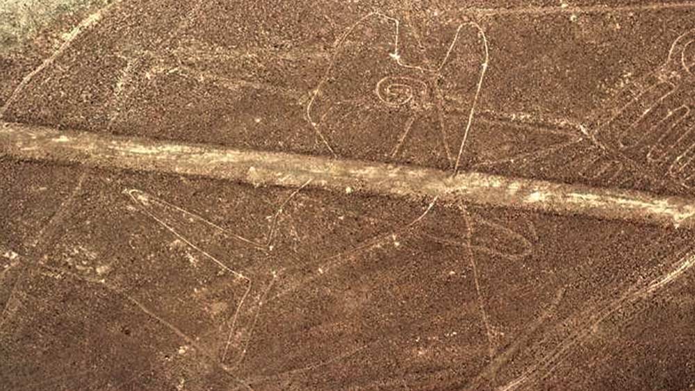 বায়োমর্ফ বলতে বোঝায় জীবজগৎ অর্থাৎ পশু-পাখি বা গাছপালার ছবি। জিওগ্লিফ হল পৃথিবীর বুকে আঁকা জ্যামিতিক নকশা। নাজকার উপর প্রায় শতাধিক এমন জ্যামিতিক নকশা চোখে পড়ে।