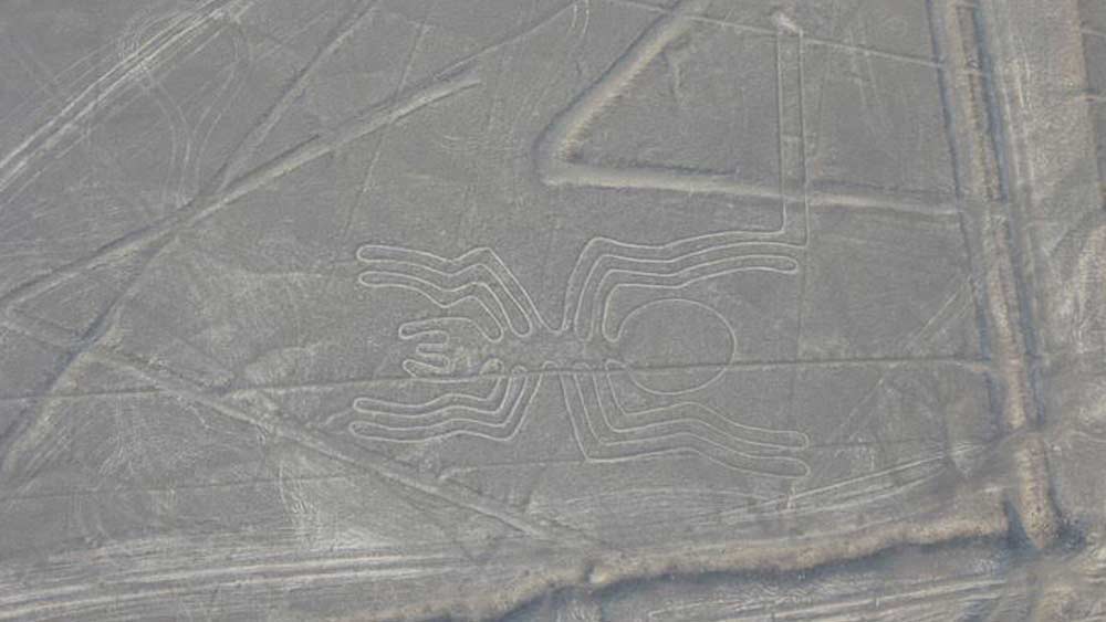 এই নাজকা লাইন প্রায় দু’হাজার বছরের পুরনো। ৫০০ খ্রিস্টপূর্ব থেকে ৫০০ খ্রিস্টাব্দের মধ্যে এই নকশাগুলি তৈরি করা হয়েছিল বলে মত পুরাতত্ত্ববিদদের।