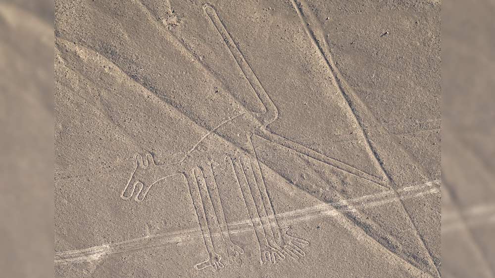 পেরুর পুরাতত্ত্ববিদ তরিবিও মেজিয়া ঝেপসে প্রথম নাজকা নিয়ে ধারাবাহিক গবেষণা শুরু করেন ১৯২৬-এ। ১৯৪০-এ মার্কিন অধ্যাপক পল কোসোক নাজকা লাইনকে ‘পৃথিবীর সবথেকে বড় অ্যাস্ট্রোনমির বই’ বলেছেন।