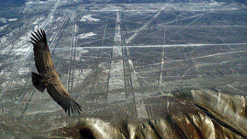 নাজকা লাইনের ওই অঞ্চলে ৮০০টি সরলরেখা, ৩০০ জ্যামিতিক নকশা ও ৭০টি প্রাণী ও উদ্ভিদের নকশা এখনও অবধি আবিষ্কৃত হয়েছে। কিছু কিছু সরলরেখা ৩০ মাইল অবধি লম্বা।