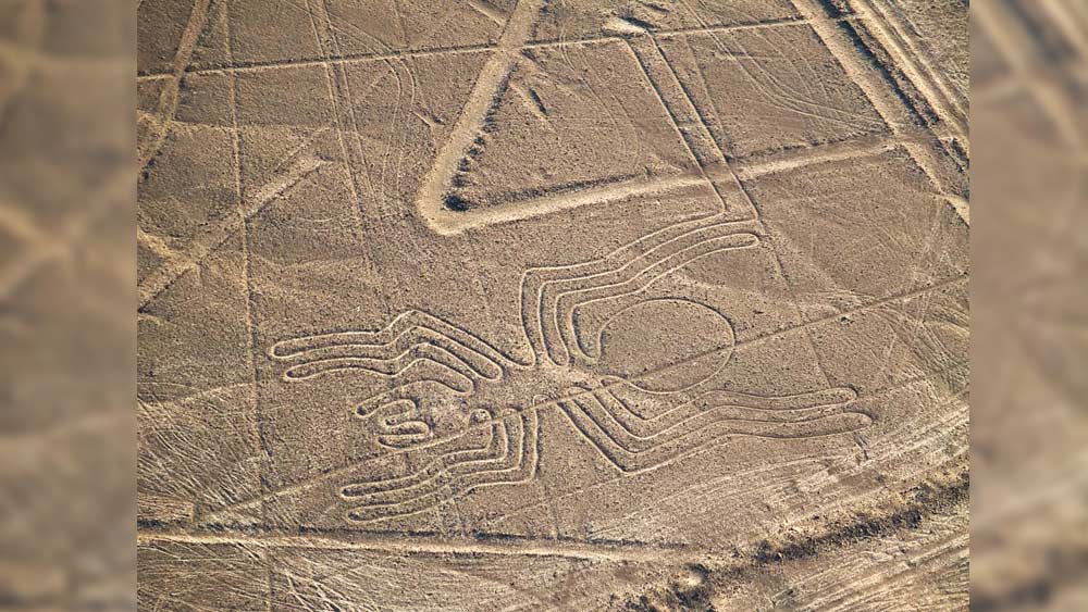 সরলরেখার পাশাপাশি ত্রিভুজ, চতুর্ভুজ, সামন্তরিক-সহ বিভিন্ন জ্যামিতিক নকশাও রয়েছে। মাকড়সা, হনুমান, হামিংবার্ড, হাঙর, সরীসৃপজাতীয় প্রাণীর বহু ছবি রয়েছে সারা নাজকা জুড়ে।