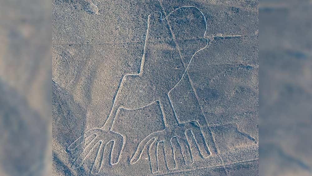 এখন সেই সব পাখি কোথায় পাওয়া যায়, আগে কোথায় পাওয়া যেত এ সব জানার চেষ্টা চালাচ্ছেন গবেষকরা। এই সব নকশার মধ্য দিয়ে নাজকারা কোনও বার্তা দিতে চেয়েছেন কি না, তাও তাঁরা বোঝার চেষ্টা করছেন।