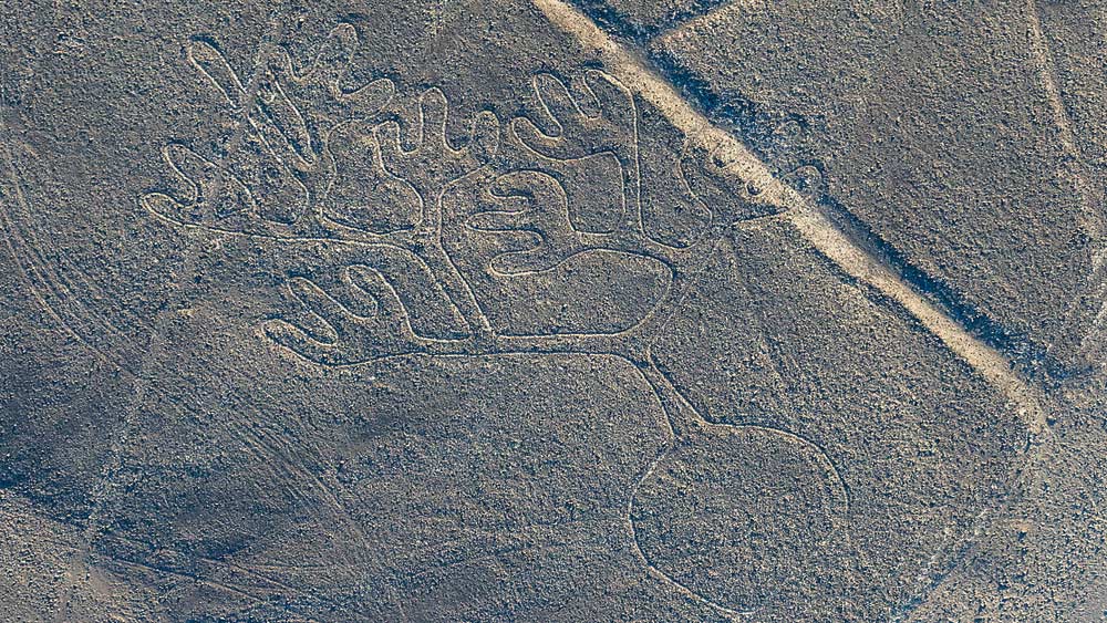 পেরুর দক্ষিণ উপকূলের ২০০ খ্রিস্টপূর্ব থেকে ৬০০ খ্রিস্টাব্দের মধ্যে গড়ে উঠেছিল নাজকা সভ্যতা। মৃৎপাত্র ও পোশাক সেই সভ্যতার অন্যতম আকর্ষণীয় নিদর্শন। সেখানকার বাসিন্দারাই এই জিওগ্লিফগুলি এঁকেছিলেন বলে মত গবেষকদের।