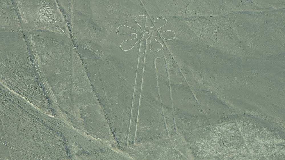 কিন্তু কেন তাঁরা এগুলি আঁকলেন তা এখনও অবধি জানা যায়নি। বিজ্ঞানীদের একাংশ মনে করেন, এই জায়গায় আসার আগে নাজকারা যে সব প্রাণী দেখেছিল সেগুলিকেই তারা এই ভাবে এঁকেছে। কিছু চিত্র কাল্পনিক বলেও মত একাংশের বিজ্ঞানীদের।