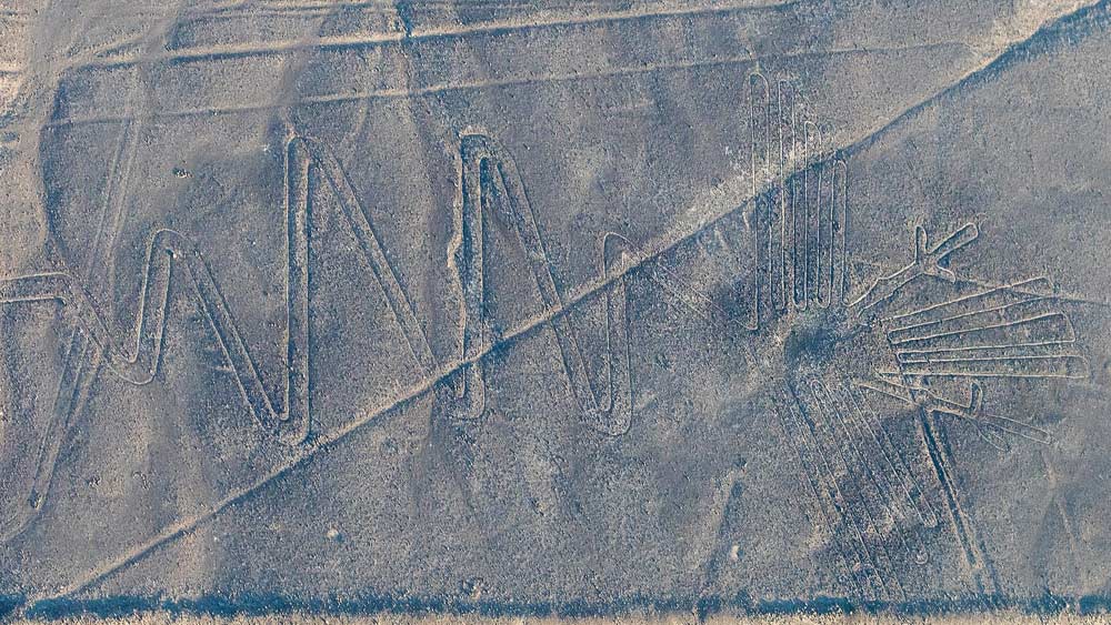 নাজকা মরুভূমি অঞ্চলের উপরিভাগ লাল পাথরে মোড়া। সেই লাল পাথর সরিয়ে নীচের ধূসর রঙের পাথরের উপর দিয়ে তৈরি করা হয়েছে জিওগ্লিফ। এর লাইনগুলি ১২-১৫ ইঞ্চি গর্ত করে তৈরি।