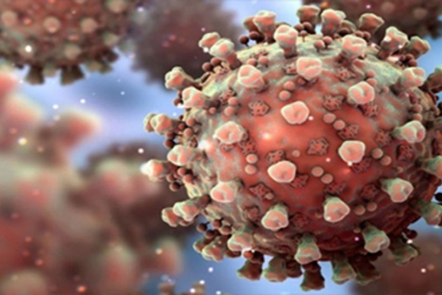 CoronaVirus in West Bengal: Half of The Covid 19 Positive Patients Have Been Cured, Claims State