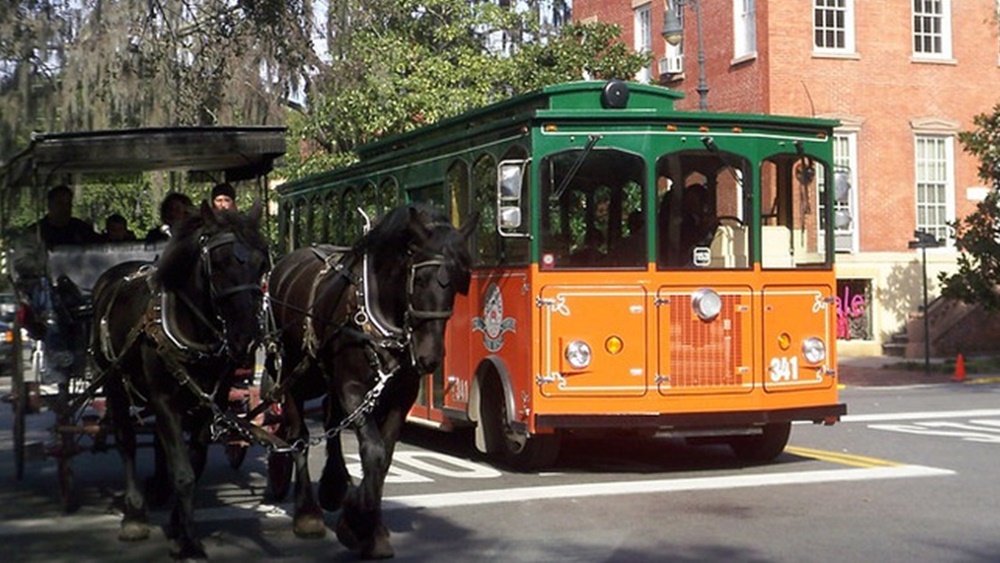 করোনার প্রভাবে যখন আমেরিকার বিভিন্ন শহরে টালমাটাল অবস্থা, তখন এই শহর সংক্রমণ হার অনেকটাই কম। তাই শহরের অর্থনৈতিক কর্মকাণ্ডকে নতুন গতি দিতে বেশ কিছু সিদ্ধান্ত নিয়েছেন সেখানকার স্থানীয় কর্তৃপক্ষ।