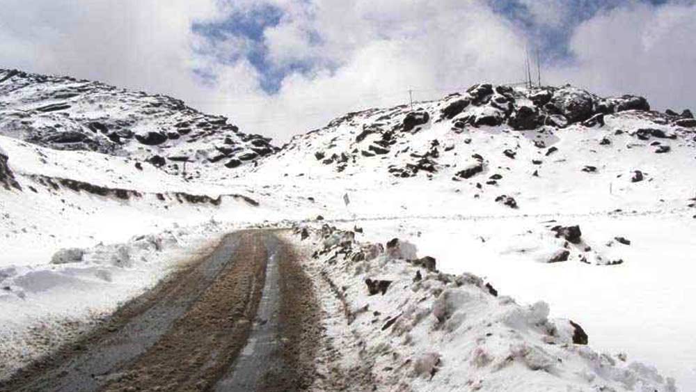 সেটা ছিল ভারত-চিন যুদ্ধের একবারে শেষ লগ্ন। নেফা-র সেলা আর বমডিলাতে হামলা চালায় চিনের পিপলস লিবারেশন আর্মি। বর্তমানে এই জায়গা দু’টি পশ্চিম অরুণাচল প্রদেশের তাওয়াং এবং পশ্চিম কামেং জেলায় অবস্থিত।