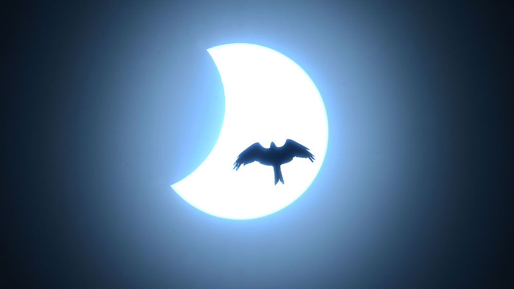 শুধু মাত্র সূর্যের বুকে চাঁদের ছায়া নয়। গ্রহণ মানেই যেন মানবসভ্যতার উপর কুসংস্কারের ছায়াপাত। এ দিন অবশ্য সে সব উড়িয়ে দিয়েই সূর্যগ্রহণ দেখেছেন বহু মানুষ।