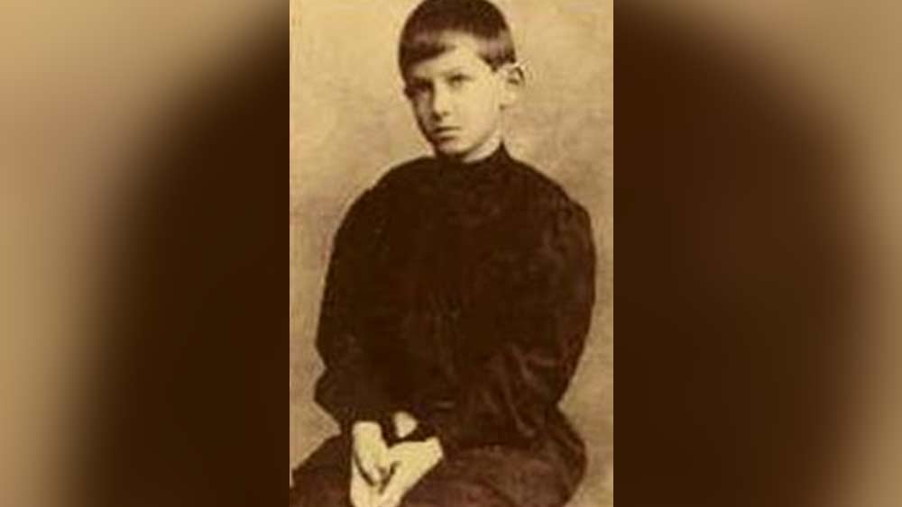 হার্ভার্ডে ভর্তি হয়েই চমক দেখাতে শুরু করেন জেমস। অল্প দিনের মধ্যেই অঙ্কে তাঁর মুন্সিয়ানা বুঝতে পারেন সেখানকার শিক্ষকরা। ওই বয়সেই বিভিন্ন বিষয়ে লেকচার দিতেন তিনি। তার পরই তাঁর নাম ছড়িয়ে পড়তে থাকে। সবাই তাঁকে বিস্ময় বালক হিসাবে চিহ্নিত করেন।