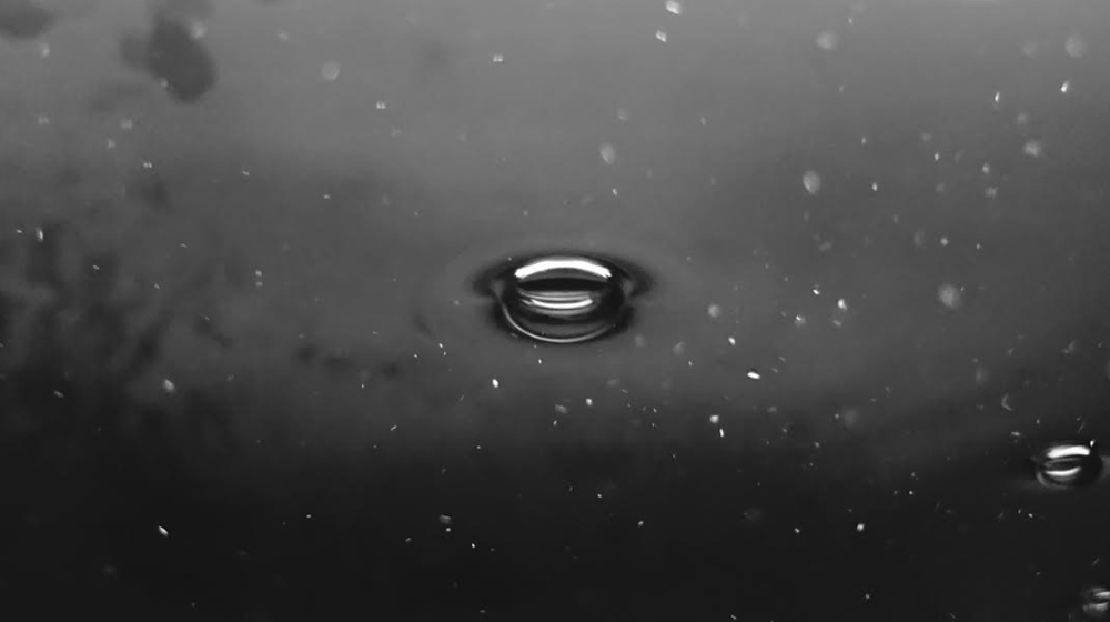 অর্ণব যেখানে জীবনের ঘটনায় ছবিকে খুঁজতে চান, আর এক ফোটোগ্রাফার রোহন চক্রবর্তী আবার জীবনের কিছু অনুভবকে আরও ভাল করে উপলব্ধি করতে ছবির শরণ নিয়ে থাকেন। এই লকডাউনের সময়েও সেই অনুভবের পিছুটানই তাঁকে ক্যামেরার পিছনে দাঁড় করায়। তাই তাঁর ক্যামেরায় এক বিন্দু জলের ফোঁটাও যেন এই অস্থিরতাতেও জ্যান্ত একটা জীবনের কথাই বলে।