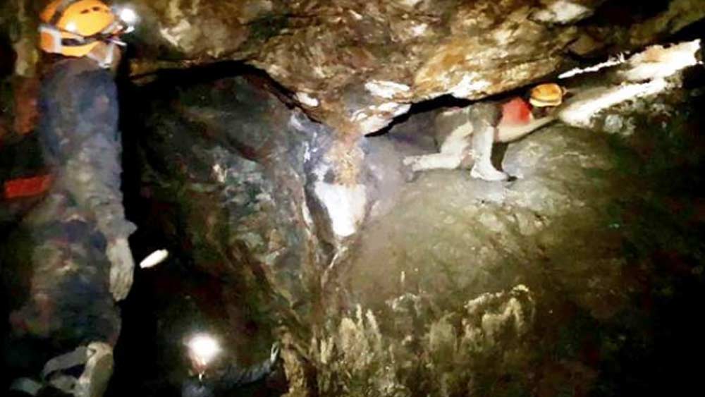 তৃতীয় গুহাপথে অবশ্য অনুসন্ধান শেষ করতে পারেননি দম্পতি। কারণ সেটি ভারতীয় সেনাবাহিনী বন্ধ করে দিয়েছে বলে শোনা যায়। তিনটি গুহাপথেই প্রচুর পরিমাণে হিমালয়ের সজারুর খোঁজ পেয়েছিলেন তাঁরা।