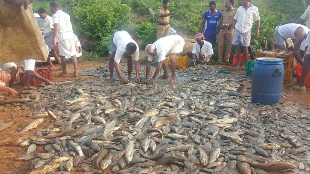 নিকটবর্তী একটি খাল থেকে সেচের মাধ্যমে আনা জল ব্যবহৃত হয় চাষের কাজে। আর জলাশয়েই রুই, কাতলা, তেলাপিয়ার মতো মাছ চাষ করা হয়।