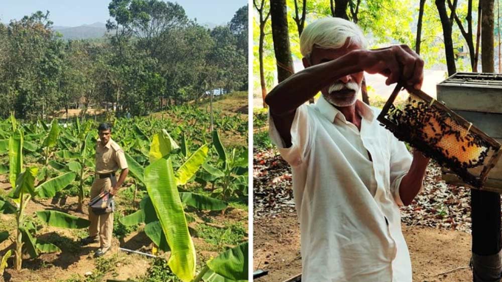 এই সব বিভিন্ন কাজের জন্য প্রতিদিন ২৩০ টাকা করে দেওয়া হয় বন্দিদের। তাঁরা যখন জেল থেকে ছাড়া পান, তখন একেবারে সেই টাকা দেওয়া হয় তাঁদের।