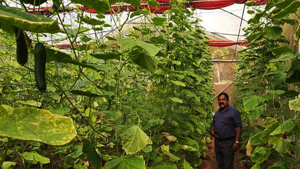 ওপেন প্রিজনের ডেপুটি ইনস্পেক্টর জেনারেল ও সুপারিন্টেন্ডেন্ট সাম থাঙ্কায়ন জানিয়েছেন, ‘‘এখানে জেলের ভিতর আমরা যে ব্যবস্থা তৈরি করেছি, তা বন্দিদের গঠনমূলক কাজ উৎসাহিত করে। তাঁরা যখন কাজের সরাসরি যুক্ত হন, তখন জেলেবন্দি হয়েও তাঁদের মধ্যে অনন্য অনুভূতি কাজ করে।’’