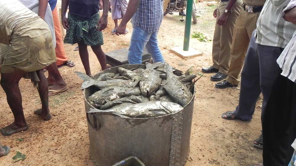 তবে চাইলেই সবাই এই জেলে আসতে পারেন না। বন্দিদের রীতিমতো সিলেকশন করে এই জেলে আনা হয় বলে জানিয়েছেন  সাম। এ ব্যাপারে তিনি বলেছেন, ‘‘সেন্ট্রাল প্রিজন সুপারিন্টেন্ডেন্ট, জোনাল ডিরেক্টর জেনারেল অব পুলিশ, চিফ ওয়েলফেয়ার অফিসারদের নিয়ে তৈরি করা হয় কমিটি। তিন বছর সেন্ট্রাল জেলে কাটানো বন্দি, যাঁরা শৃঙ্খলাপরায়ণ তাঁদের বাছাই করে আনা হয় এখানে।’’