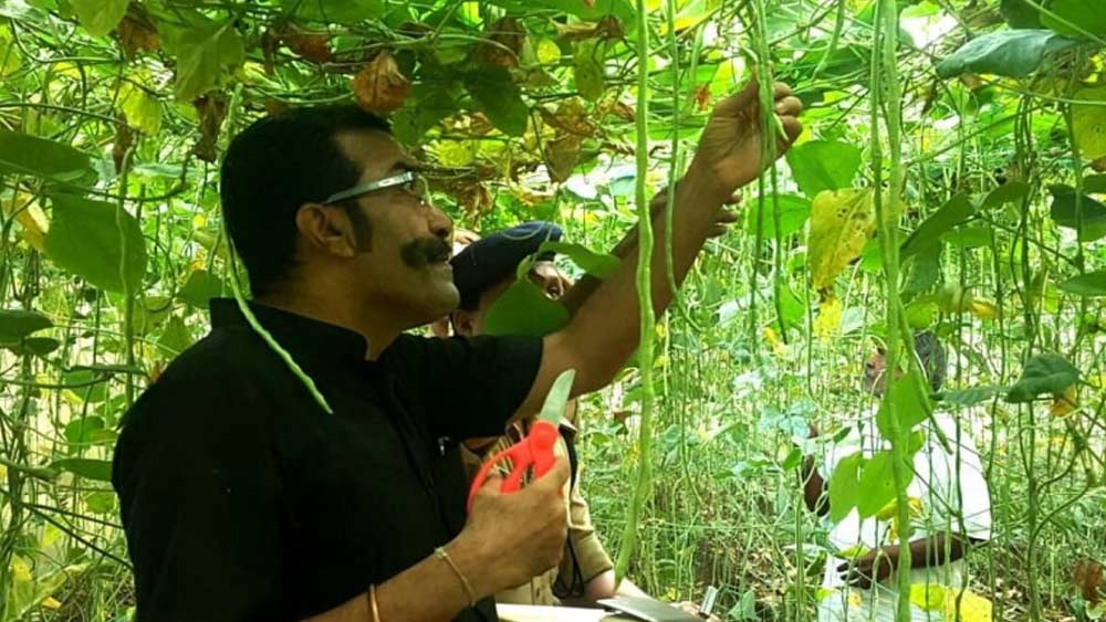 ওপেন জেল শুধু গঠনগতভাবেই মুক্ত নয়। সেখানকার পরিবেশও যথেষ্ট মুক্তমনা। কাজের বাইরে জেলের মধ্যে নিজেদের মতোই হেঁটে চলে বেড়ান বন্দিরা। বন্দিদের অবসর যাপনের জন্য বিনোদনের ব্যবস্থাও রয়েছে ওই জেলে। সেখানকার লাইব্রেরিতে রয়েছে ২০ হাজারেরও বেশি বই।