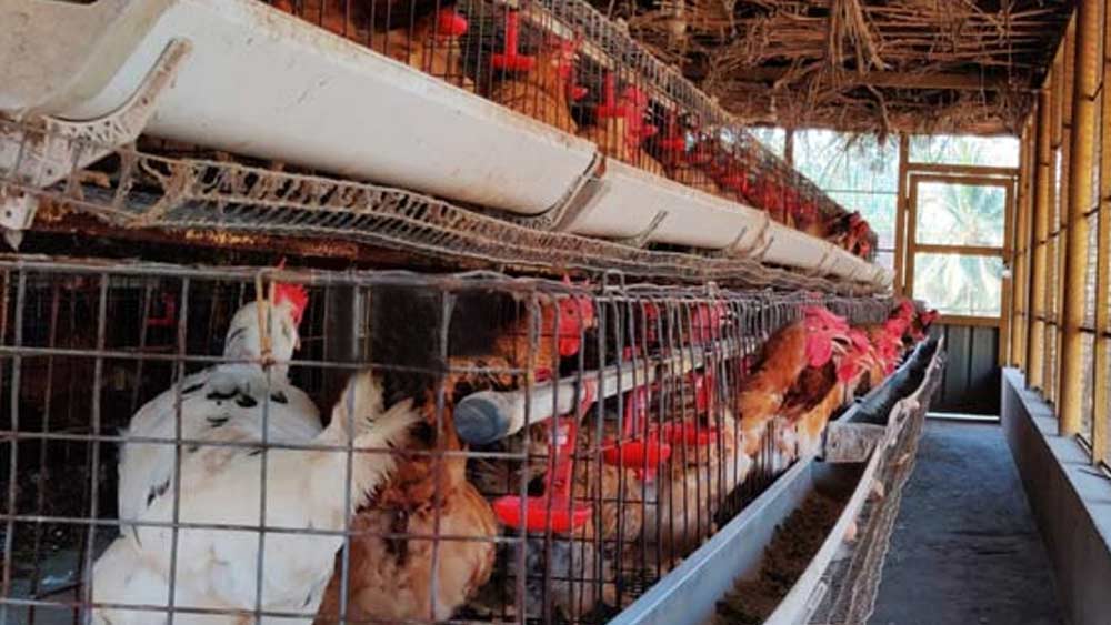 করোনাকালে মাস্ক ও স্যানিটাইজারের চাহিদা বেড়েছে দেশ জুড়ে। তাই এ সময় ওই সব তৈরির কাজও শুরু করেছেন বন্দিদের একাংশ।