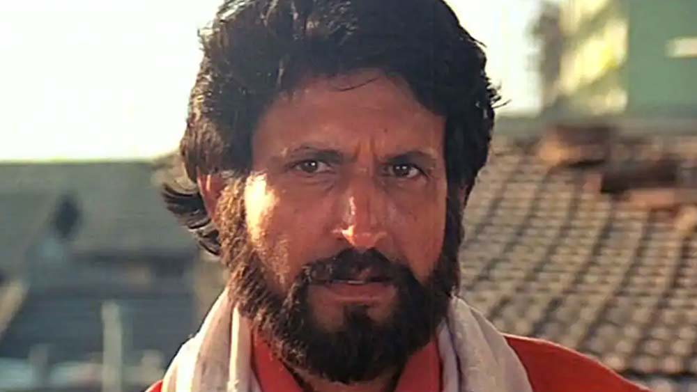 ‘পাত্থর কে ফুল’, ‘খুন কা কর্জ’, ‘দৌলত কি জঙ্গ’, ‘বিশ্বাত্মা’, ‘বোল রাধা বোল’ ছবিতে তাঁর কাজ দর্শকদরে নজর কেড়েছিল। তবে ছবির তুলনায় টেলিভিশনে তিনি অনেক বেশি জনপ্রিয়তা পেয়েছেন।