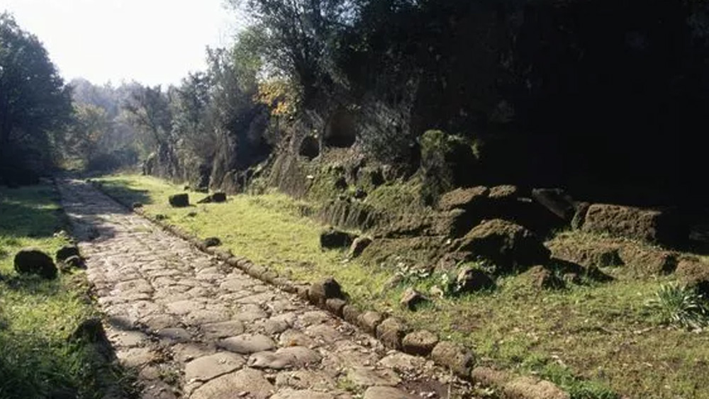 প্রাচীন এই শহর, ফালেরি নোভির সন্ধানে উনিশ শতকেই শুরু হয়েছিল অনুসন্ধান। নব্বইয়ের দশকে করা হয় ম্যাগনেটিক সার্চ। তার ফলে অনেকটাই স্পষ্ট ধারণা পাওয়া সম্ভব হয়েছিল মাটির নীচে চাপা পড়া নগরীর কোথায় কোথায় কী আছে।