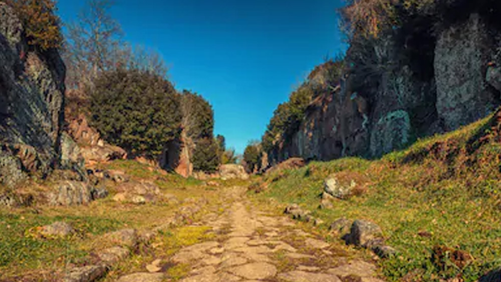 পাশাপাশি, বাজার এবং বড় স্নানাগারের কাঠামোর নিদর্শনও পাওয়া গিয়েছে বলে জানান ইতিহাসবিদরা। তবে সবথেকে বড় বিস্ময় অপেক্ষা করে আছে ফালেরি নোভি-র পানীয় জলের যোগান ব্যবস্থায়।