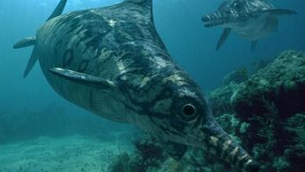 এখনও পর্যন্ত মোট ৯ প্রজাতির ইকথিয়োসরের হদিশ মিলেছে। এর মধ্যে টেমনোডন্টোসরাসই আয়তনে সবচেয়ে বড়। এটি প্রায় ৩৩ ফুট পর্যন্ত লম্বা। তবে এখনও পর্যন্ত যত প্রাণীর হদিশ মিলেছে, তার মধ্যে ইকথিয়োসরের চোখই সবচেয়ে বড়। এর একটা চোখই প্রায় ১০ ইঞ্চি বড় ছিল।